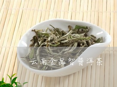 云南金品智普洱茶/2023031657380