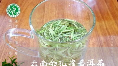 云南金孔雀普洱茶/2023041220614