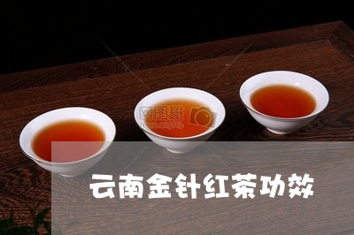 云南金针红茶功效/2023032793959