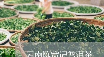 云南陈宽记普洱茶/2023031693819