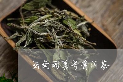 云南雨善号普洱茶/2023031635936