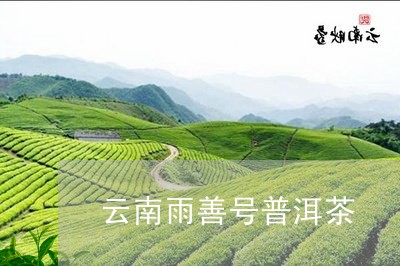 云南雨善号普洱茶/2023041295946