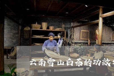 云南雪山白茶的功效与作用/2023040151758