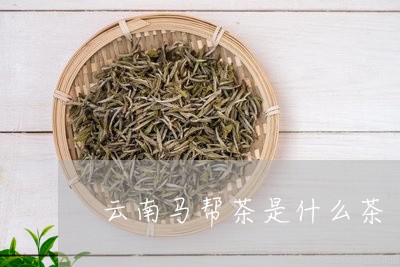 云南马帮茶是什么茶/2023032203737