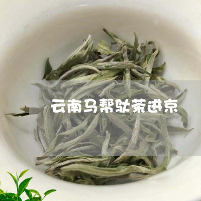 云南马帮驮茶进京/2023032585068