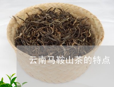 云南马鞍山茶的特点/2023032158392