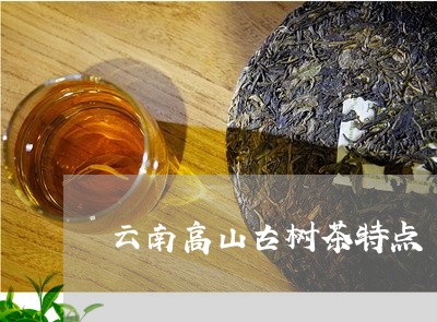 云南高山古树茶特点/2023032274926