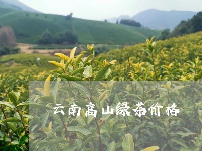 云南高山绿茶价格/2023032715169