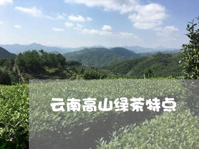 云南高山绿茶特点/2023032512704