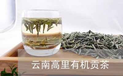 云南高里有机贡茶/2023032526159