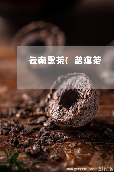 云南黑茶(普洱茶/2023041053836