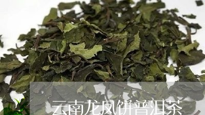 云南龙凤饼普洱茶/2023040145027