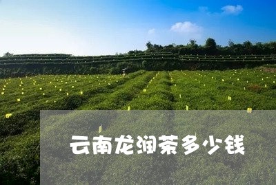 云南龙润茶多少钱/2023032709514