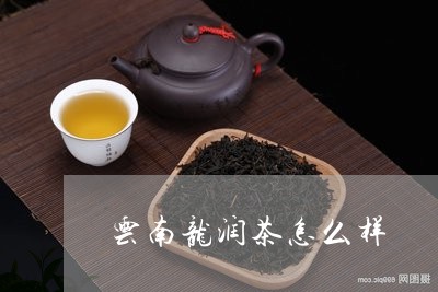 云南龙润茶怎么样/2023031873048