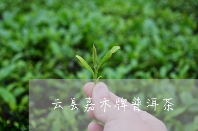 云县嘉木牌普洱茶/2023031792827