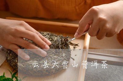 云县大雪山普洱茶/2023040117158