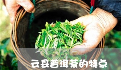 云县普洱茶的特点/2023041365059