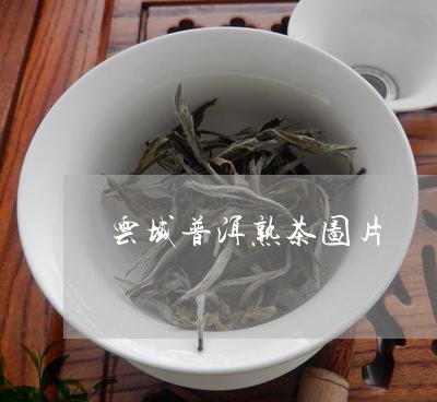 云域普洱熟茶图片/2023032950303