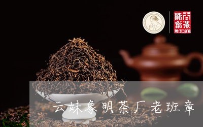 云妹象明茶厂老班章/2023041447149