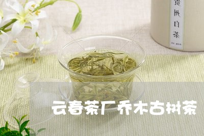 云春茶厂乔木古树茶/2023032196270