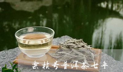 云桢号普洱茶七年/2023033067259