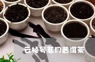 云桢号茗月普洱茶/2023031845168