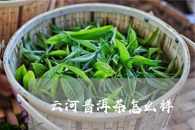 云河普洱茶怎么样/2023041394927