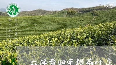 云浮昔归连锁茶叶店/2023041574726