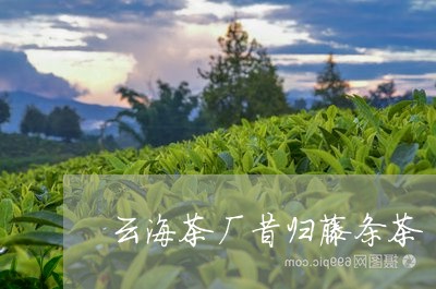 云海茶厂昔归藤条茶/2023032282959