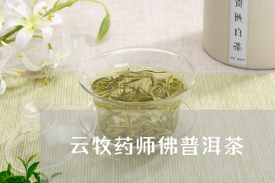 云牧药师佛普洱茶/2023033051724