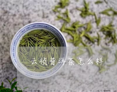 云祯普洱茶怎么样/2023033170381