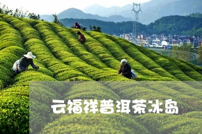 云福祥普洱茶冰岛/2023041379380