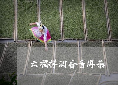 云福祥润香普洱茶/2023033156493