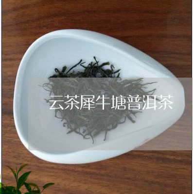 云茶犀牛塘普洱茶/2023041122736