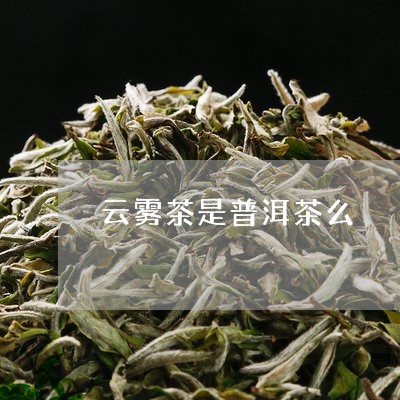 云雾茶是普洱茶么/2023031619380