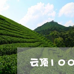 云顶100陈年贡茶/2023032049483