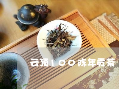 云顶100陈年贡茶/2023041684958