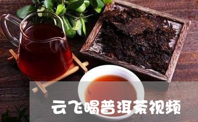 云飞喝普洱茶视频/2023041287259