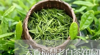 云香福鼎老白茶好喝吗/2023040116252