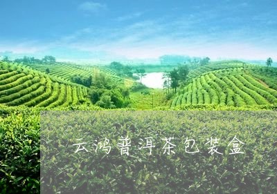 云鸿普洱茶包装盒/2023033157264