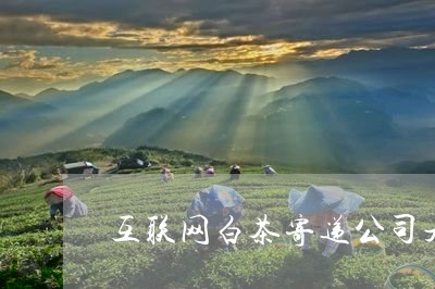 互联网白茶寄递公司是哪家/2023040131682