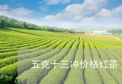 五克十三冲价格红茶/2023041716169