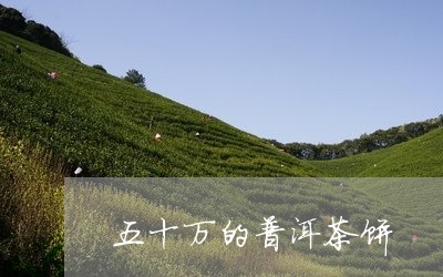 五十万的普洱茶饼/2023040102836