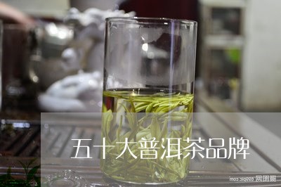 五十大普洱茶品牌/2023031726349