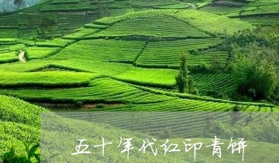 五十年代红印青饼/2023032424826