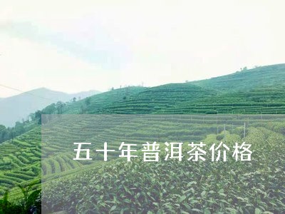 五十年普洱茶价格/2023041347584