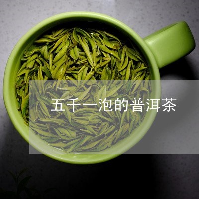 五千一泡的普洱茶/2023041046369