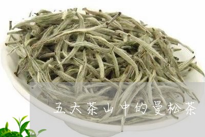 五大茶山中的曼松茶/2023031961794