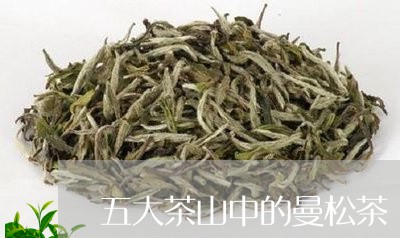 五大茶山中的曼松茶/2023041595040