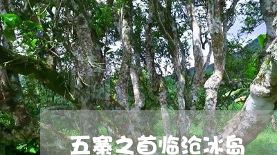 五寨之首临沧冰岛/2023032350727